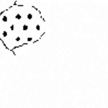 Click para ampliar. Pulsa en el nombre para ver la ficha. Fig. d